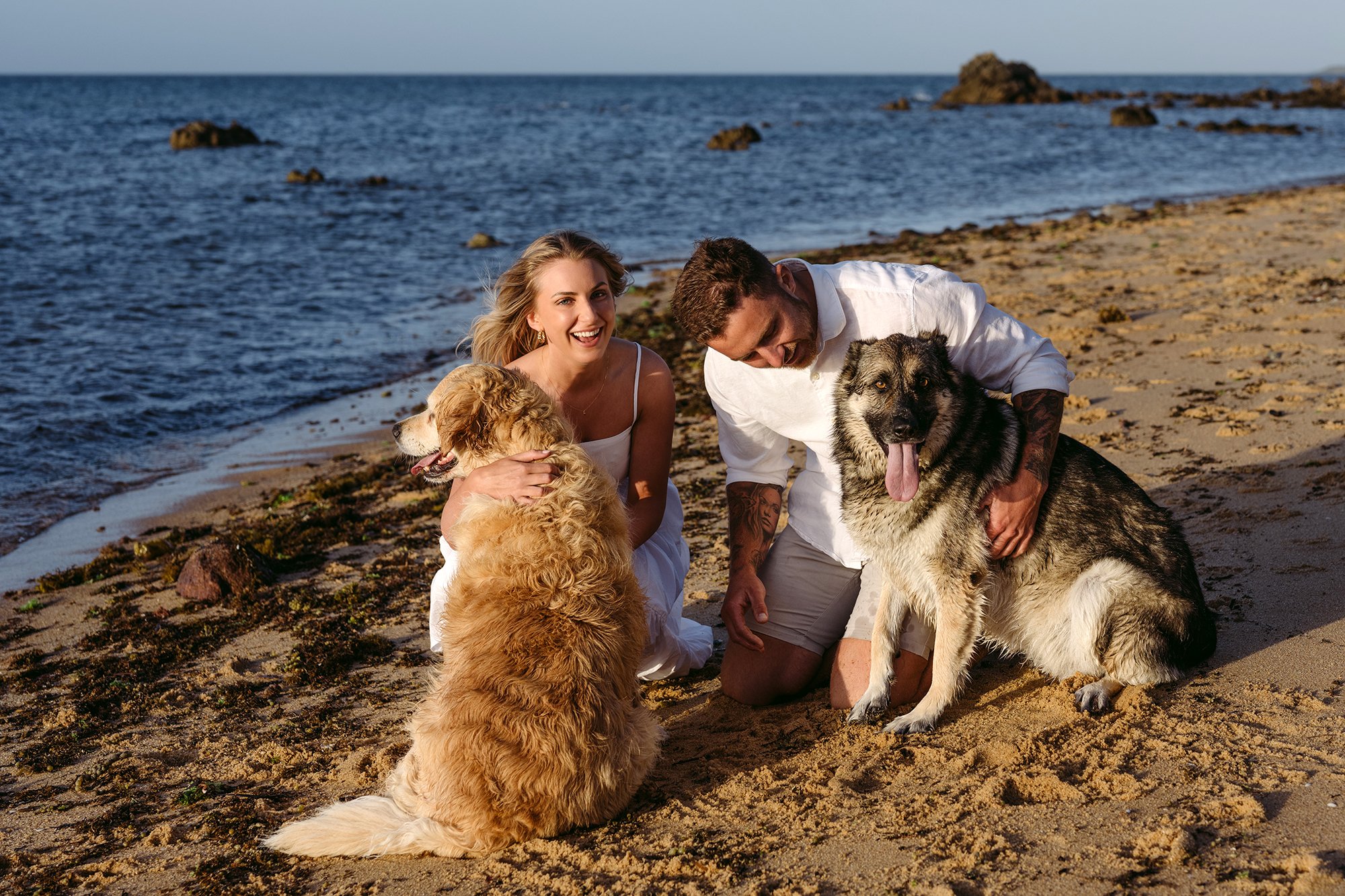 engagement photography with dogs